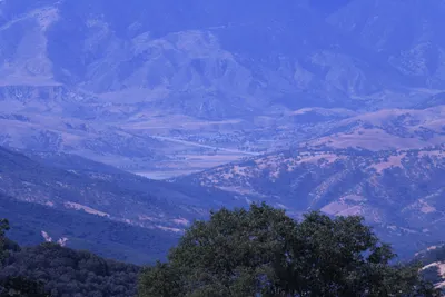 DSC_2202 (Large).JPG